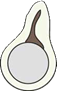 Tokki perla typ A